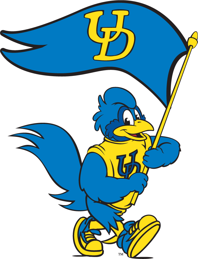 Delaware Blue Hens 1999-2009 Mascot Logo v16 diy DTF decal sticker